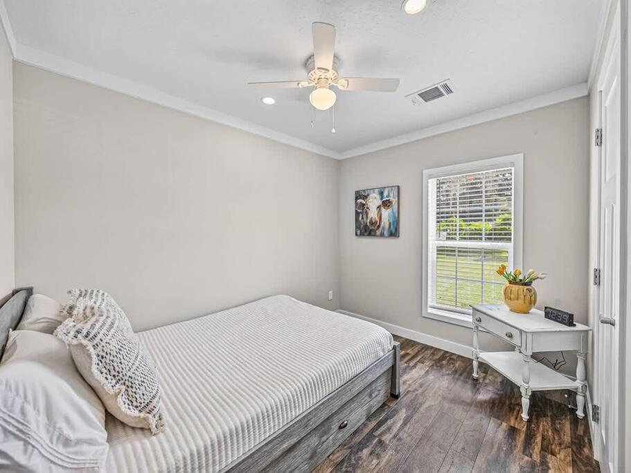 The Cozy Cabana Zephyrhills Exterior photo